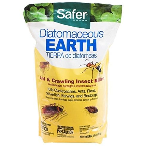 Safer Brand Diatomaceous Insect Killer